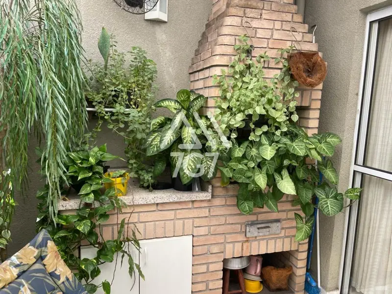 Casa com 3 quartos em Morumbi - foto 3