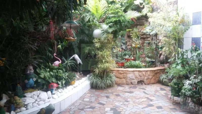 Casa - 3 quartos - Vila Antonieta - São Paulo - foto 2