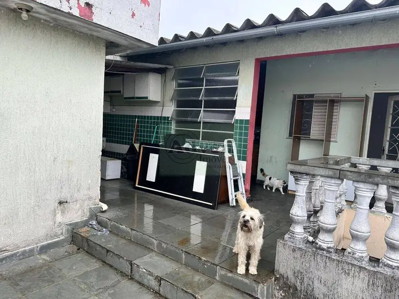 Casa - 2 quartos - Jardim Vila Formosa - São Paulo - foto 3