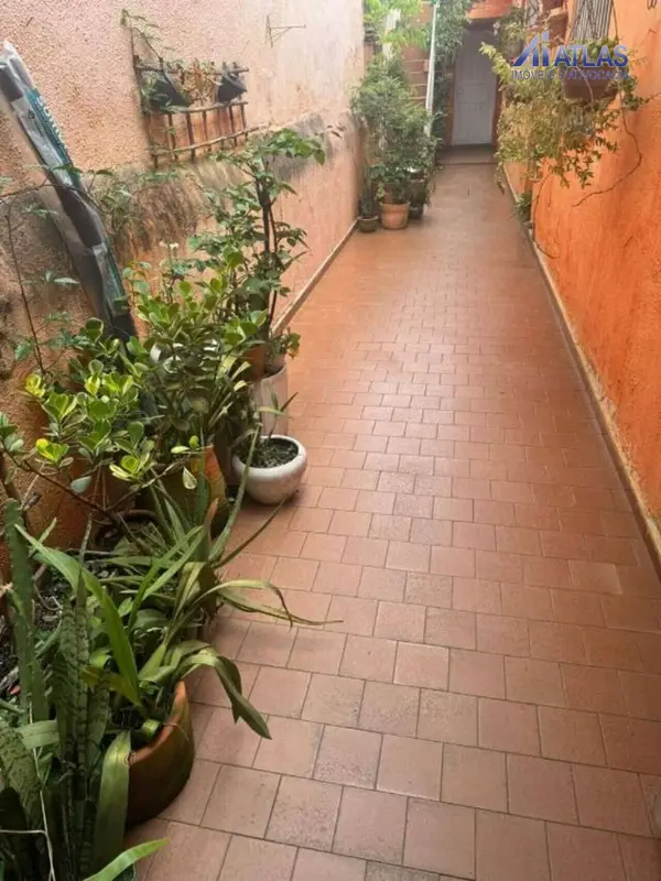 Casa - 2 quartos - Vila Maria - São Paulo - foto 4