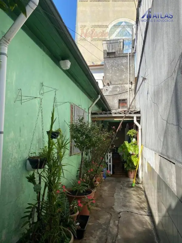 Casa - 3 quartos - Vila Maria Alta - São Paulo - foto 3