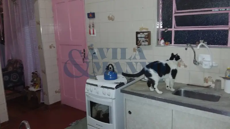 Casa - 3 quartos - Mooca - São Paulo - foto 3