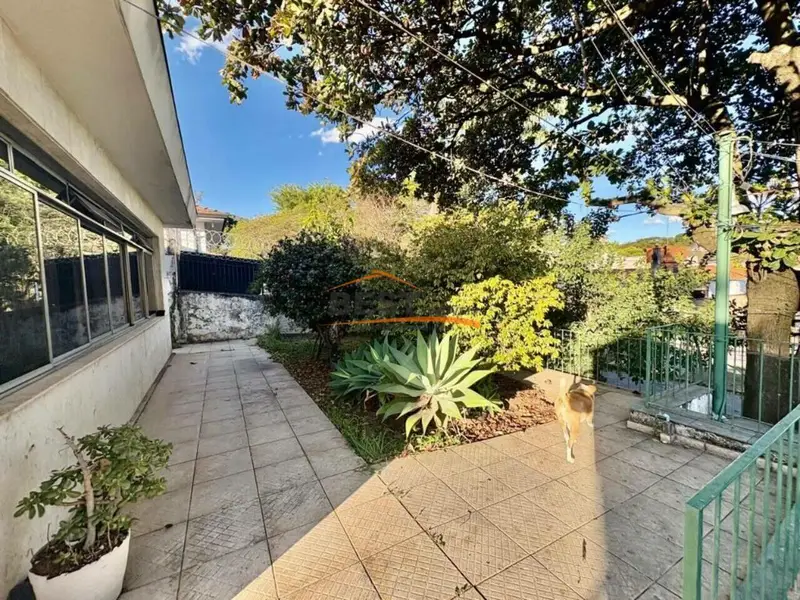 Casa - 3 quartos - Alto da Lapa - São Paulo - foto 3