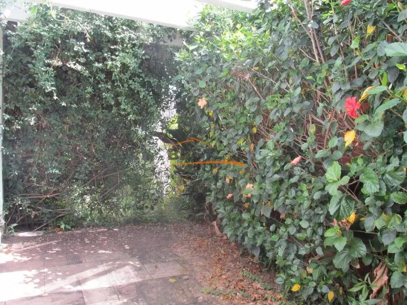 Casa - 3 quartos - Alto da Lapa - São Paulo - foto 4