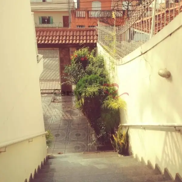 Sobrado - 3 quartos - Vila Mesquita - São Paulo - foto 3