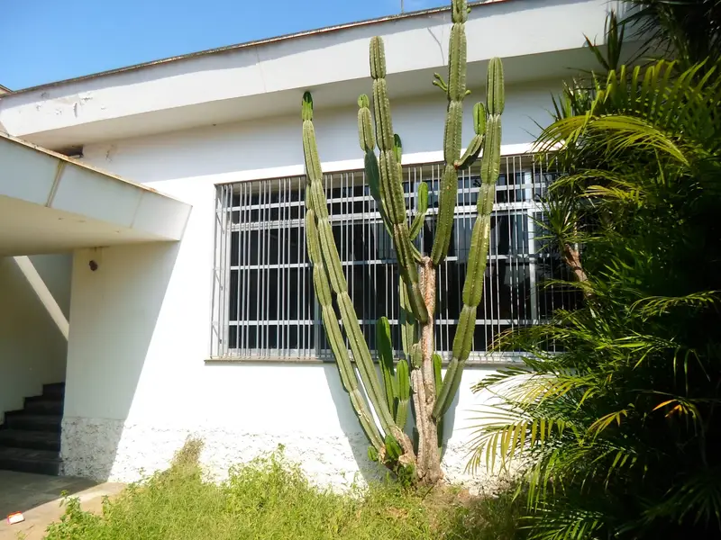 Casa - 2 quartos - Penha de França - São Paulo - foto 2