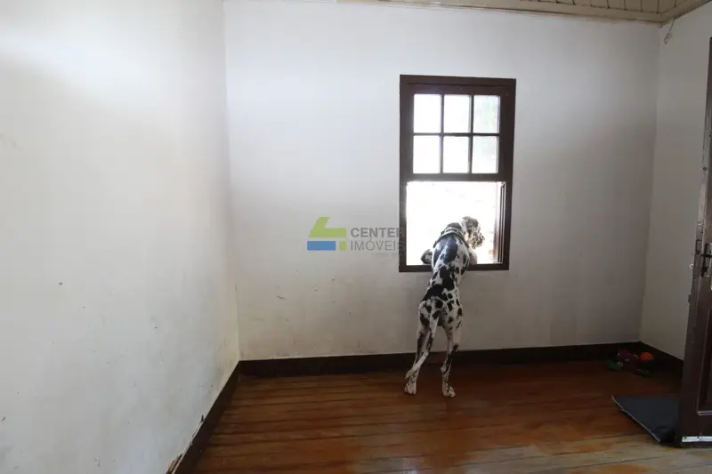 Casa - 5 quartos - Vila Mariana - São Paulo - foto 2