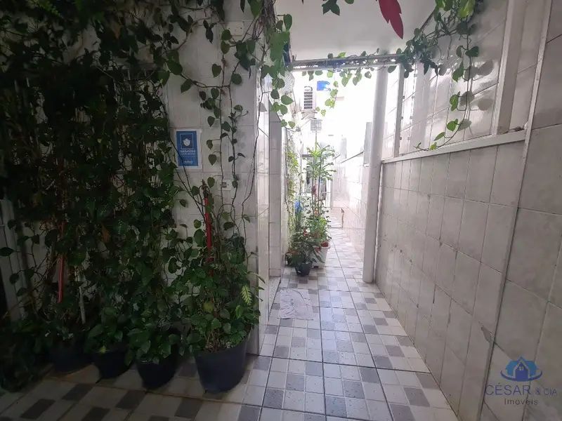 Casa - 3 quartos - Pirituba - São Paulo