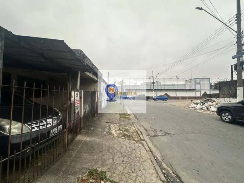 Casa - 5 quartos - Vila Pierina - São Paulo - foto 4