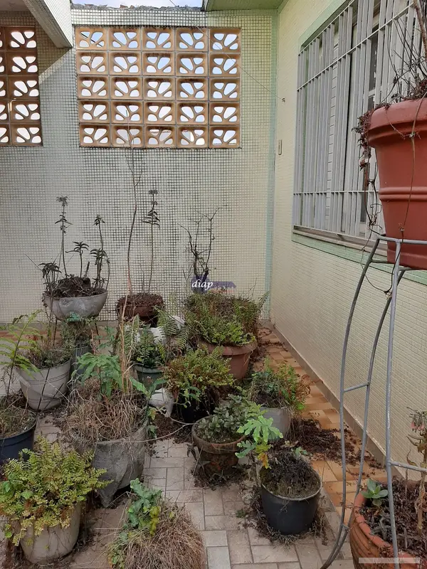 Casa - 3 quartos - Vila Formosa - São Paulo - foto 5