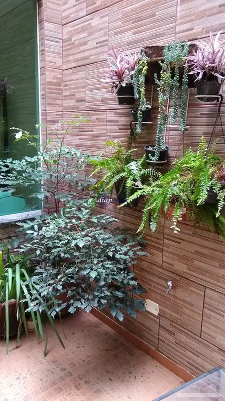 Casa - 3 quartos - Artur Alvim - São Paulo - foto 5