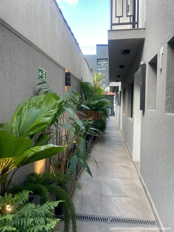 Casa - 2 quartos - Aclimação - SÃO PAULO - foto 3