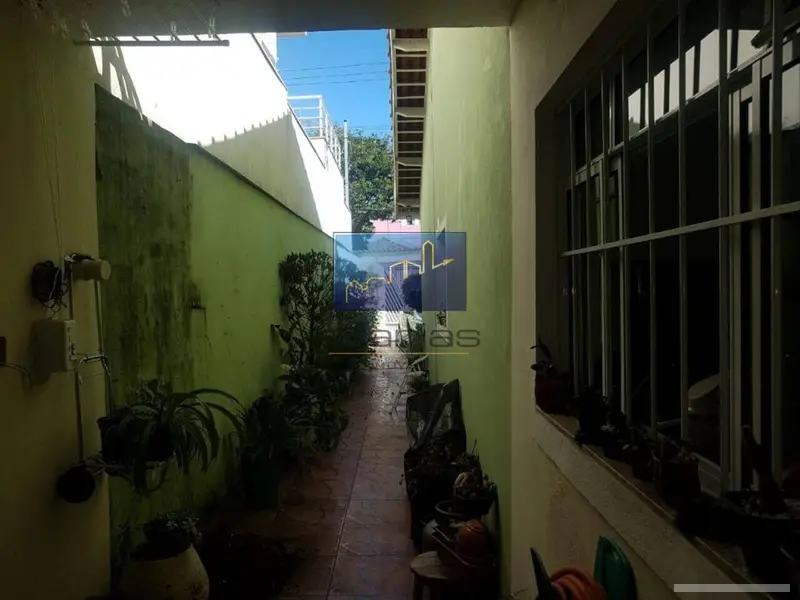 Casa - 2 quartos - Vila Matilde - São Paulo - foto 4