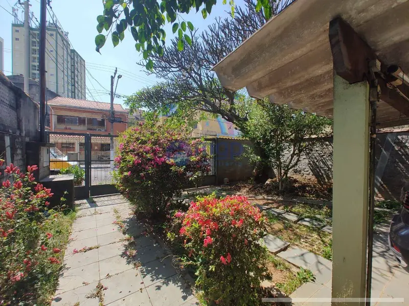 Casa - 3 quartos - Vila Maria - São Paulo - foto 4