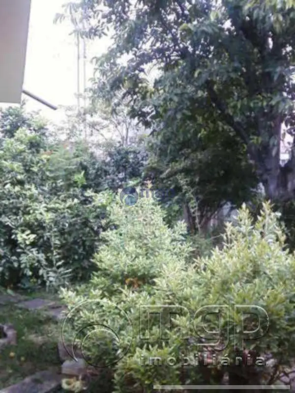 Casa - 4 quartos - Vila Maria - São Paulo - foto 4