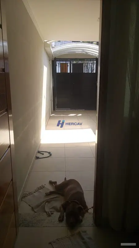 Casa - 3 quartos - Vila Constança - São Paulo - foto 2