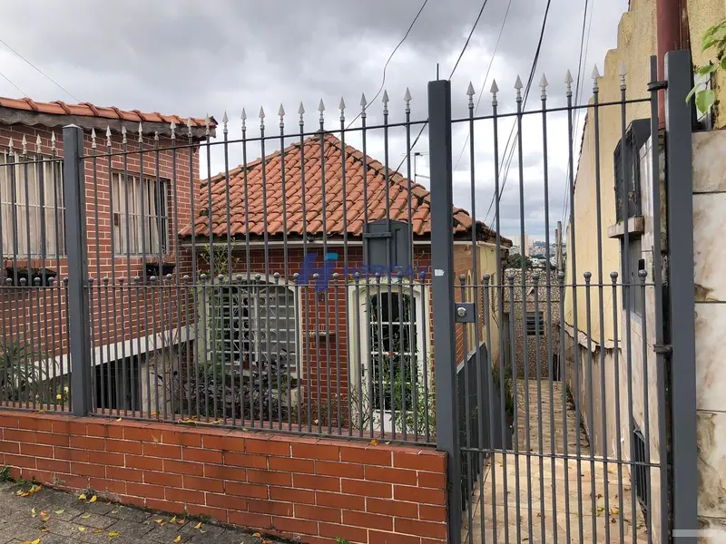 Casa - 5 quartos - Vila Constança - São Paulo - foto 3