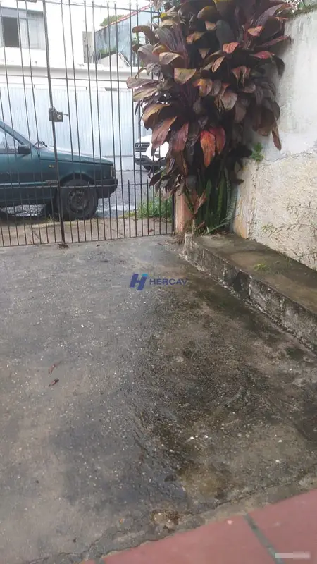 Casa - Vila Gustavo - São Paulo - foto 5