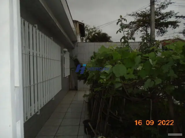 Casa - 3 quartos - Jardim Guanca - São Paulo - foto 3