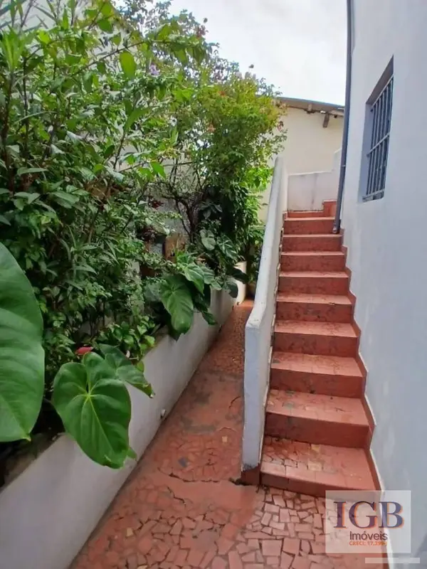 Casa - 4 quartos - Casa Verde - São Paulo - foto 3