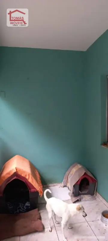 Casa - 3 quartos - Pirituba - São Paulo - foto 5