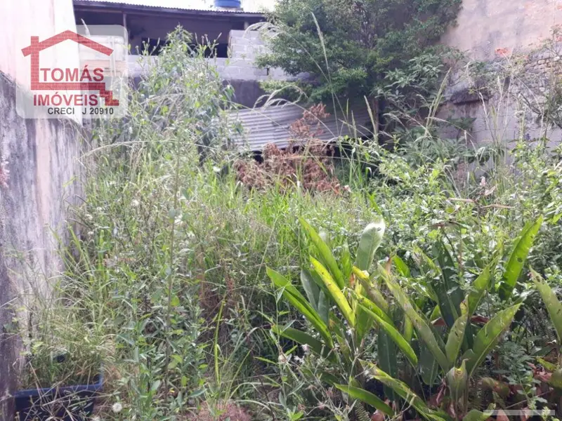 Casa - 2 quartos - Pirituba - São Paulo - foto 3