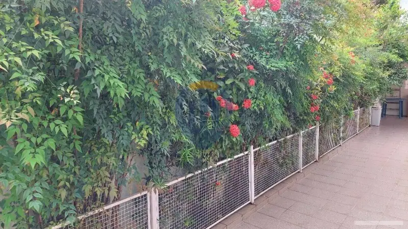 Casa com 3 quartos em Brooklin Paulista - foto 3