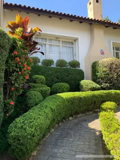 Casa - 4 quartos - Vila Pierina - São Paulo - foto 2