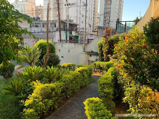 Casa - 4 quartos - Vila Pierina - São Paulo - foto 4