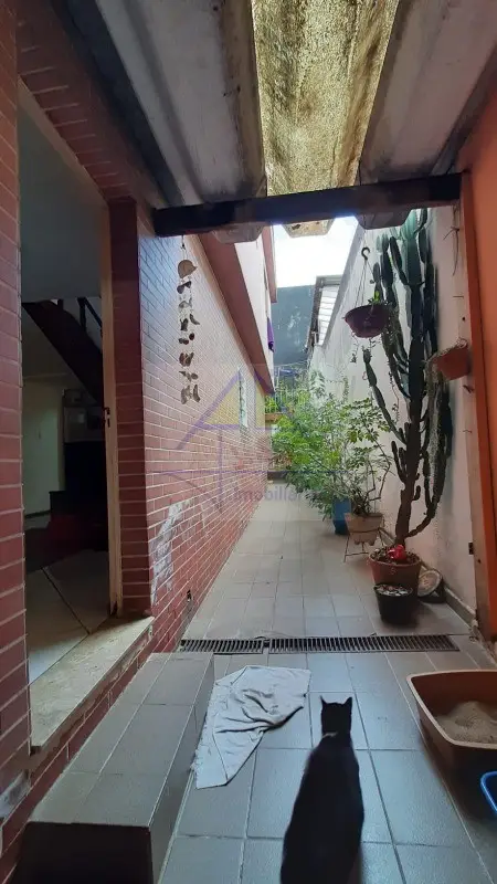 Casa - 3 quartos - Vila Industrial - São Paulo