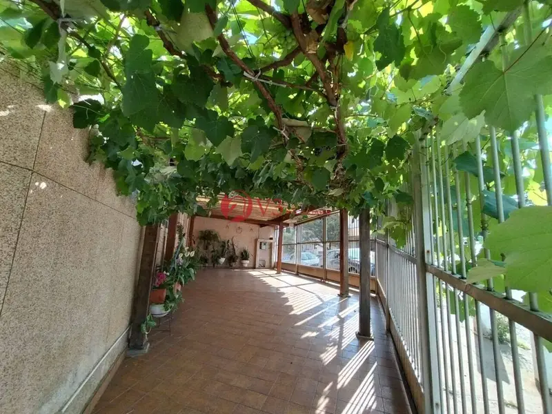 Casa - 3 quartos - Vila Matilde - São Paulo - foto 4